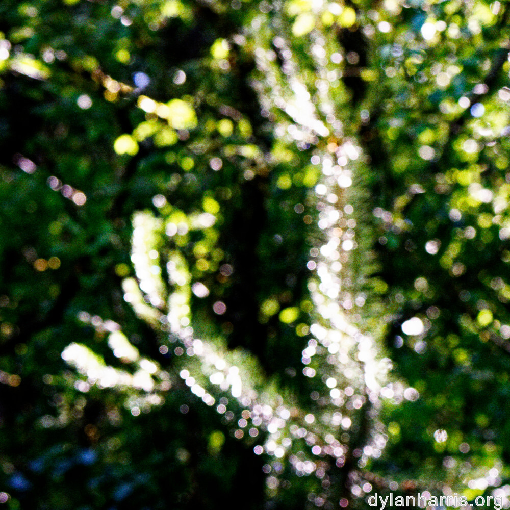 image: This is ‘
rumelange 4
’.