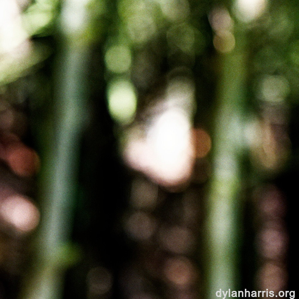 image: This is ‘
rumelange 5
’.