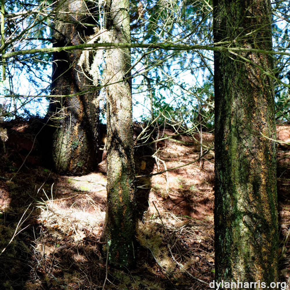 image: This is ‘
rumelange 6
’.