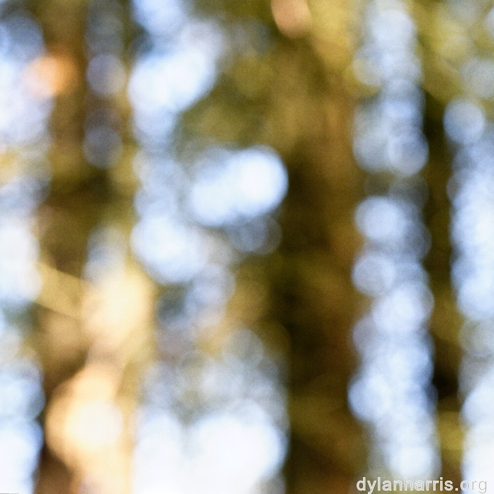 image: This is ‘
rumelange 7
’.