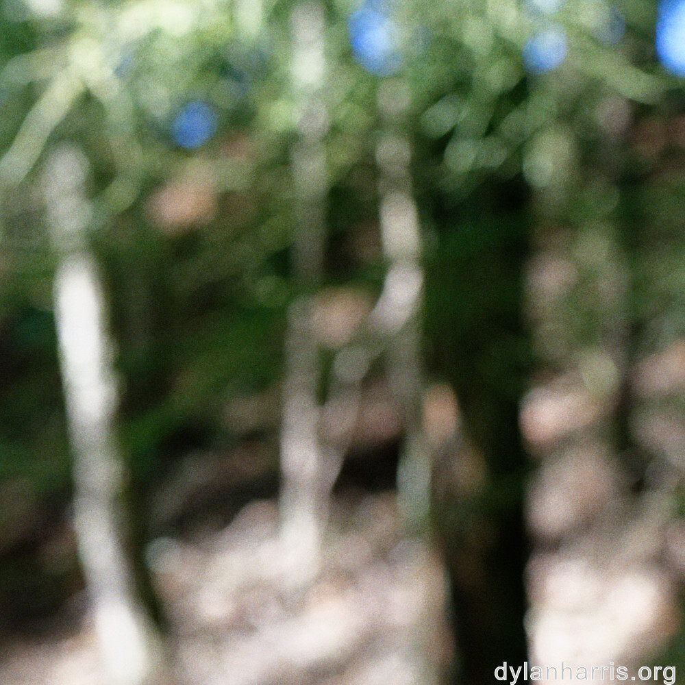 image: This is ‘
rumelange 8
’.