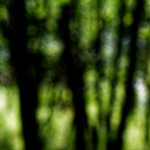 image: Image from the photoset ‘
rumelange (v)
’.