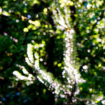 image: Image from the photoset ‘
rumelange (v)
’.