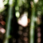 image: Image from the photoset ‘
rumelange (v)
’.