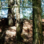 image: Image from the photoset ‘
rumelange (v)
’.