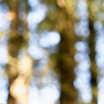 image: Image from the photoset ‘
rumelange (v)
’.