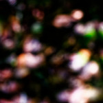 image: Image from the photoset ‘
rumelange (v)
’.