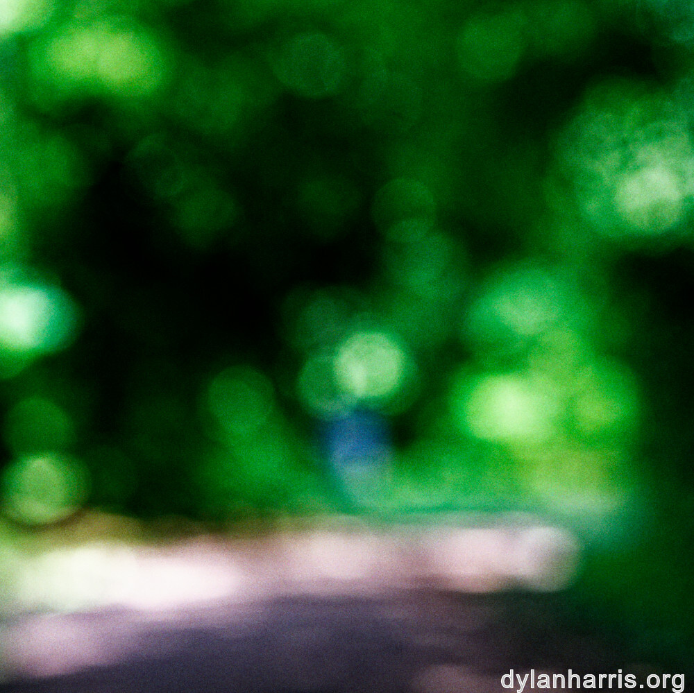 image: This is ‘
wood (xlviii) 2
’.