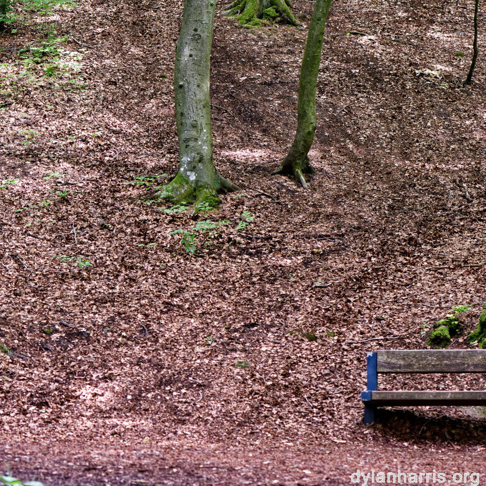 image: This is ‘
rumelange 1
’.