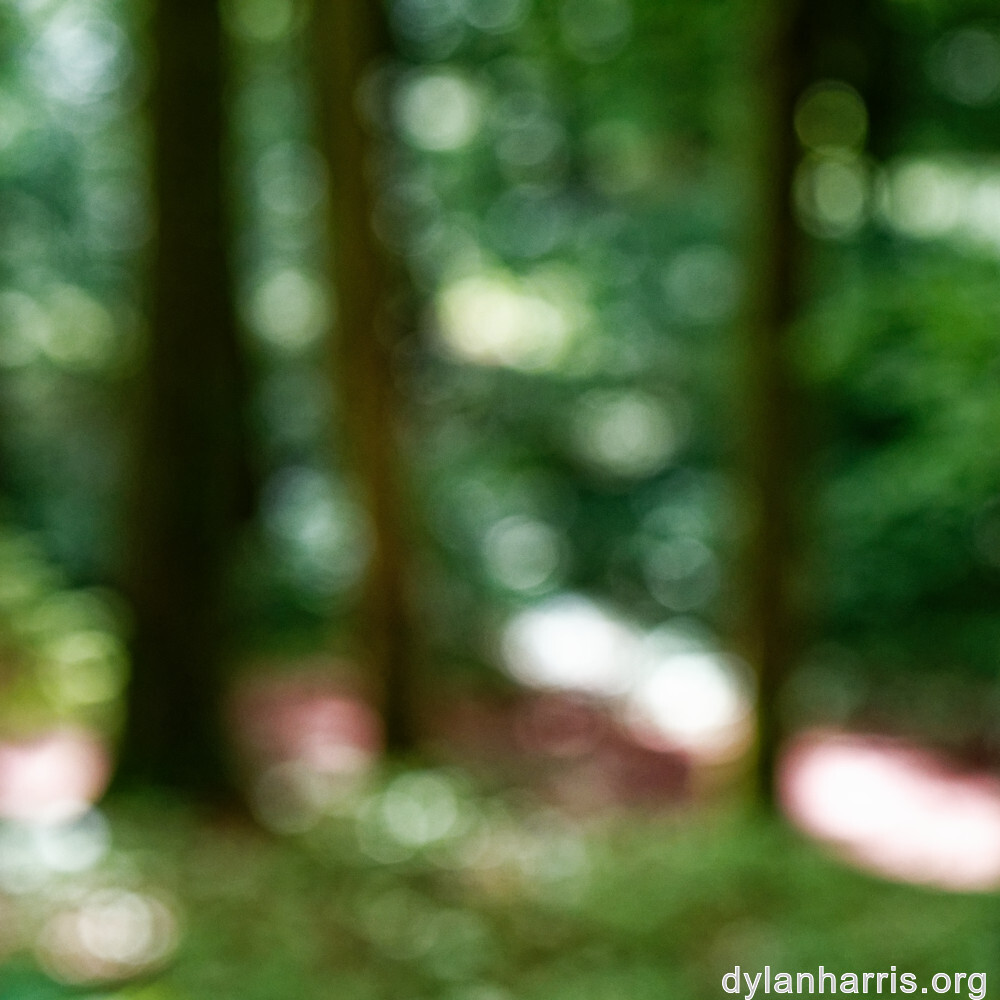 image: This is ‘
rumelange 2
’.