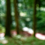 image: Image from the photoset ‘
rumelange (vi)
’.