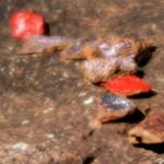 image: Image from the photoset ‘
rumelange (vi)
’.