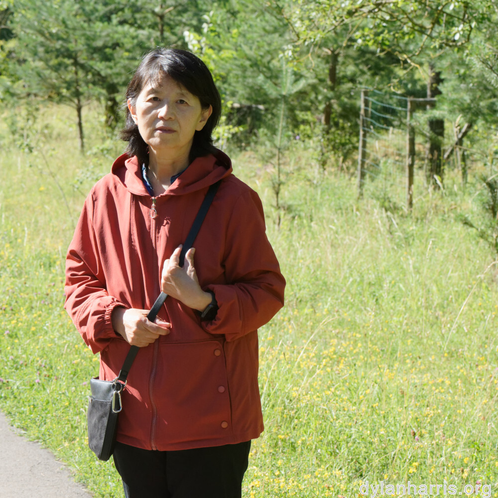 image: This is ‘
L (xxxv) 1
’.