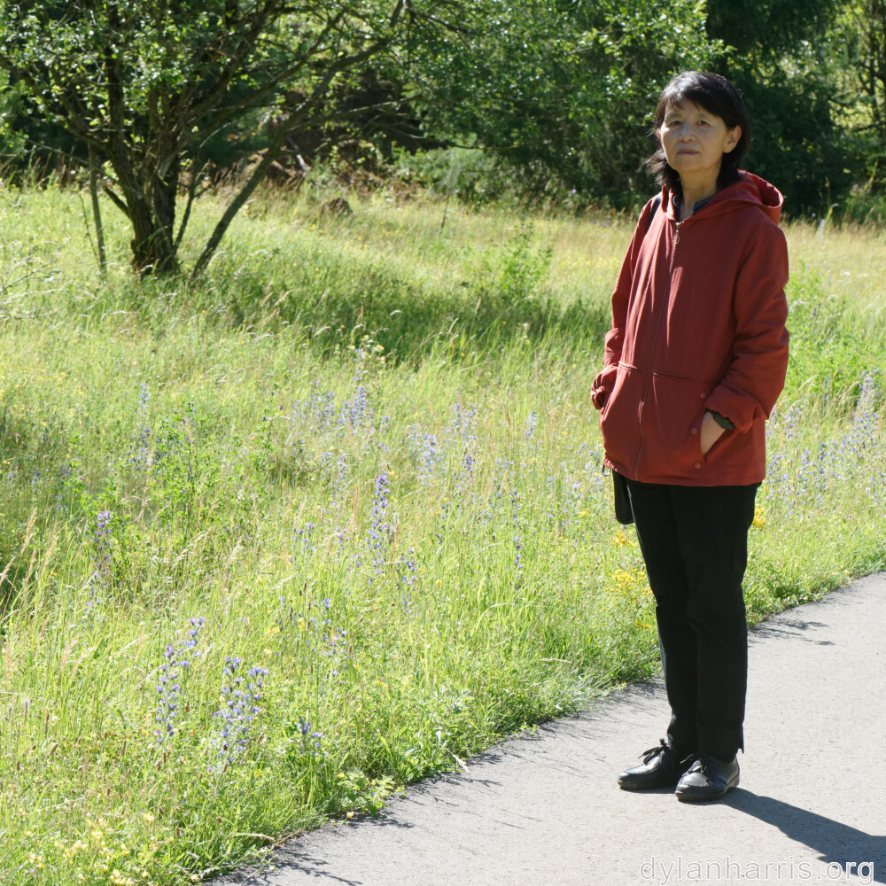 image: This is ‘
L (xxxv) 2
’.