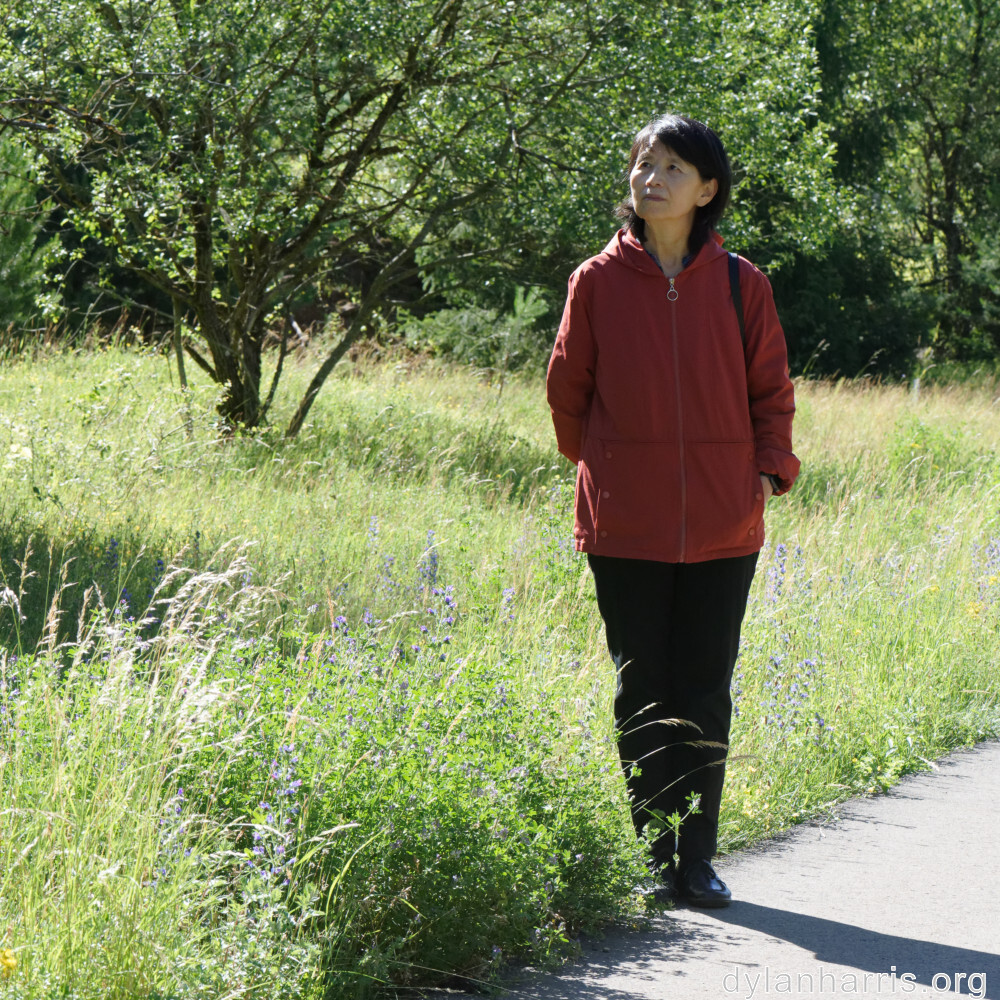 image: This is ‘
L (xxxv) 3
’.