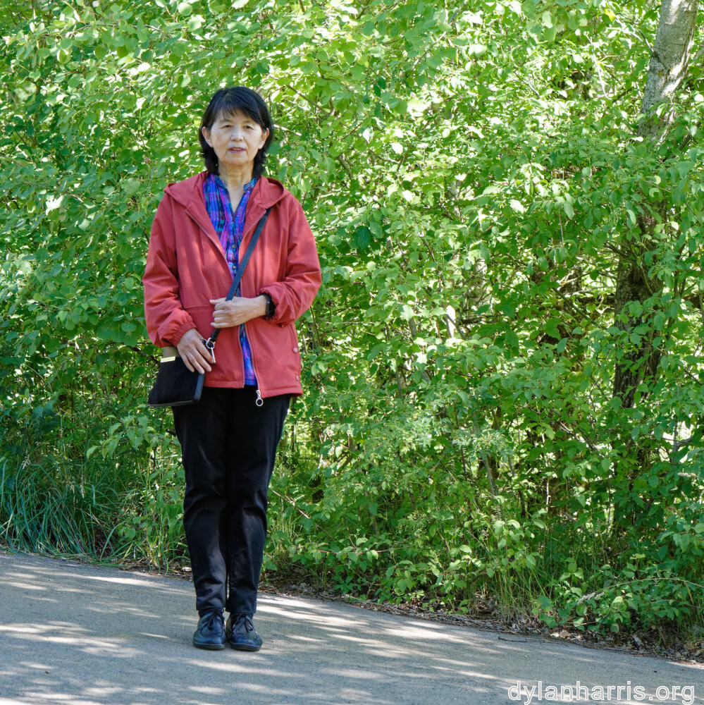 image: This is ‘
L (xxxv) 5
’.