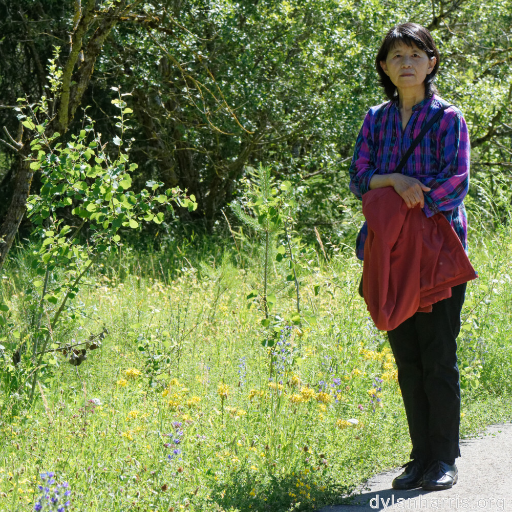 image: This is ‘
L (xxxv) 6
’.