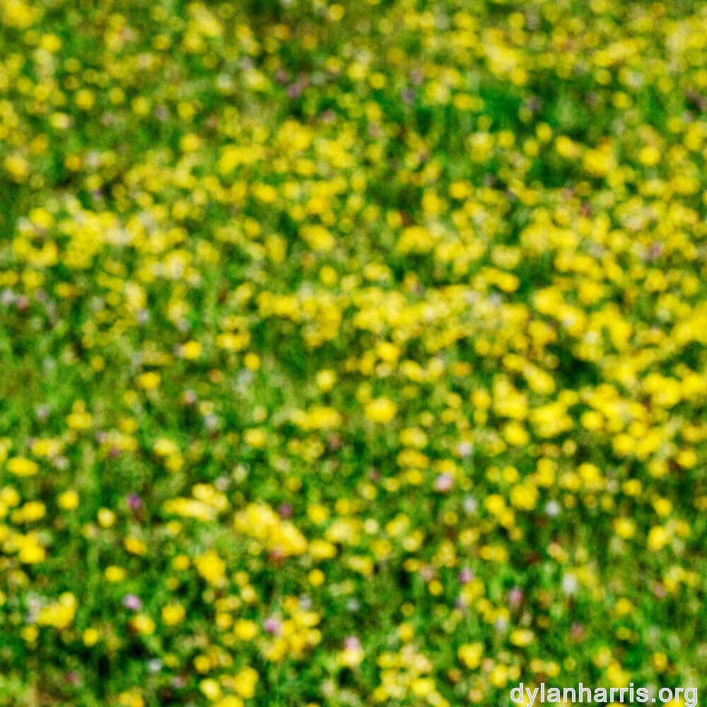 image: This is ‘
rumelange 1
’.