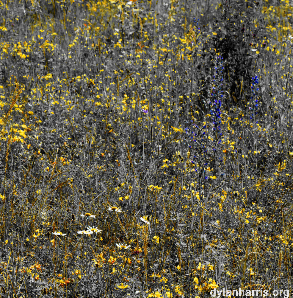 image: This is ‘
rumelange 2
’.