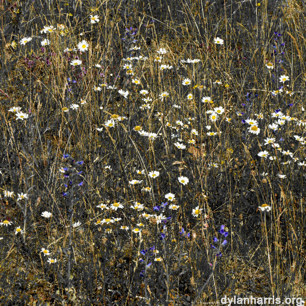 image: This is ‘
rumelange 4
’.