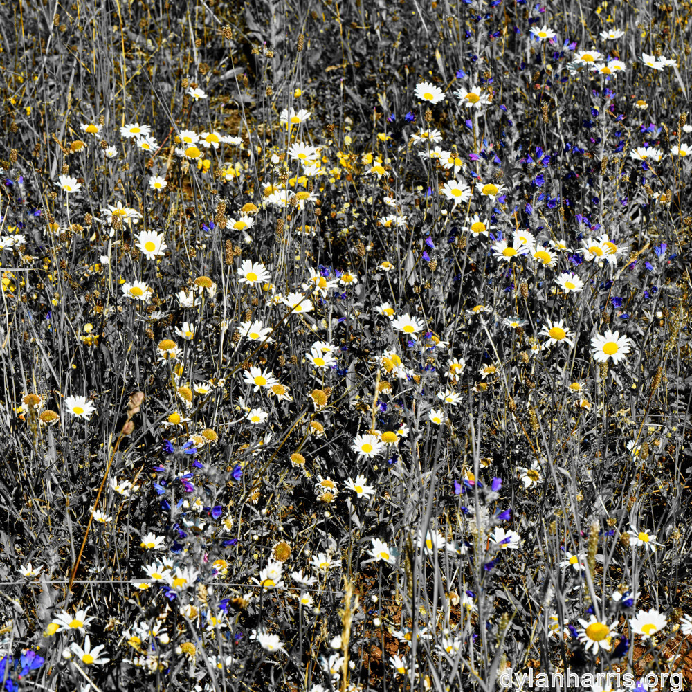 image: This is ‘
rumelange 5
’.