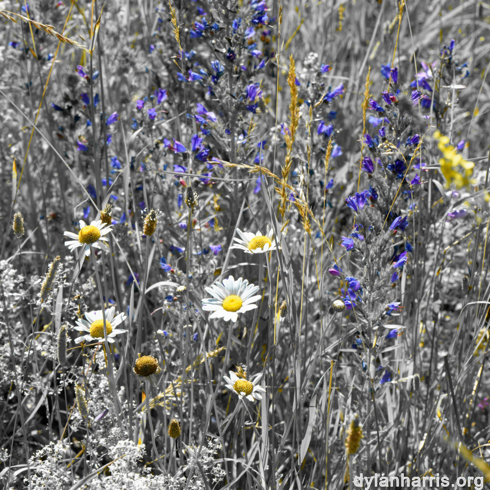 image: This is ‘
rumelange 6
’.