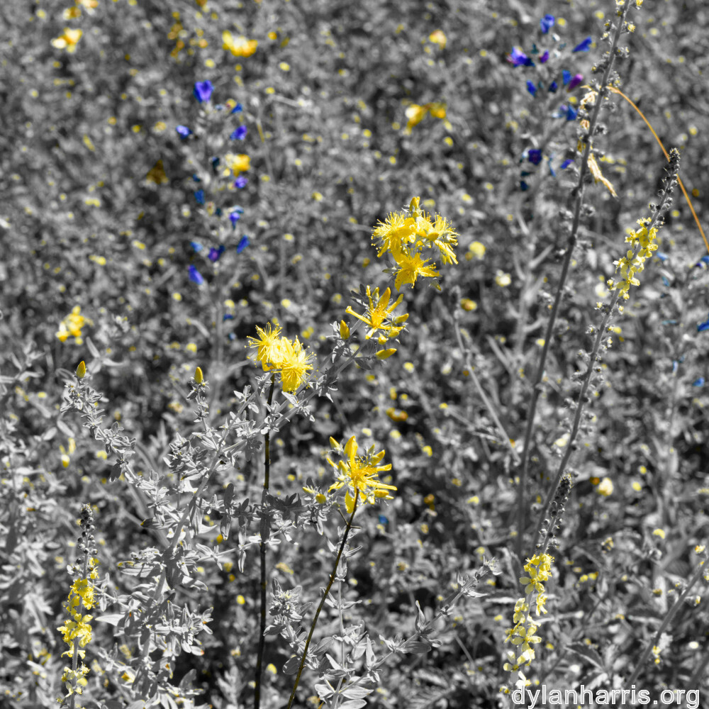 image: This is ‘
rumelange 7
’.