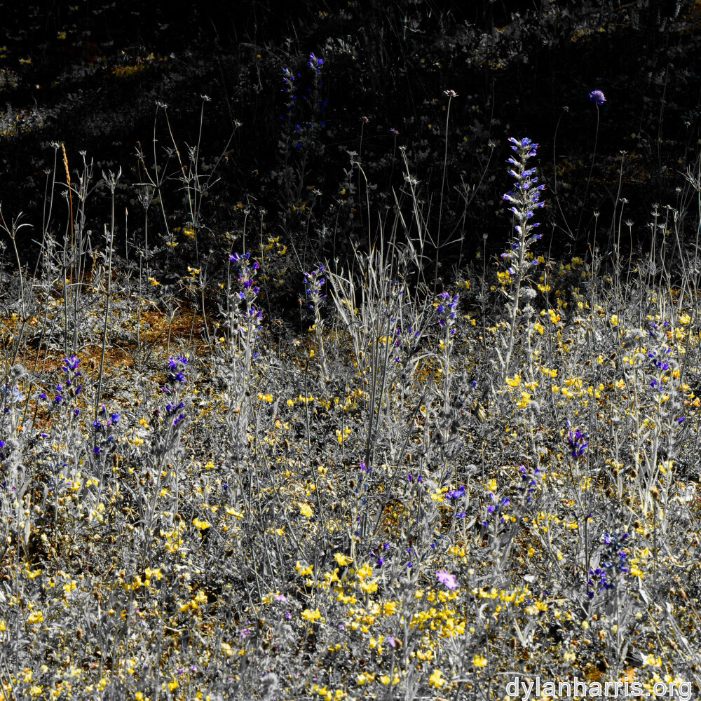 image: This is ‘
rumelange 8
’.