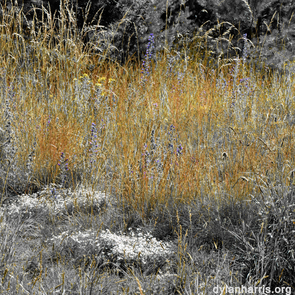 image: This is ‘
rumelange 9
’.