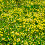 image: Image from the photoset ‘
rumelange (vii)
’.