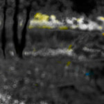 image: Image from the photoset ‘
rumelange (vii)
’.