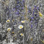 image: Image from the photoset ‘
rumelange (vii)
’.