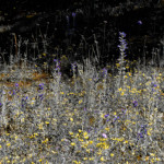 image: Image from the photoset ‘
rumelange (vii)
’.