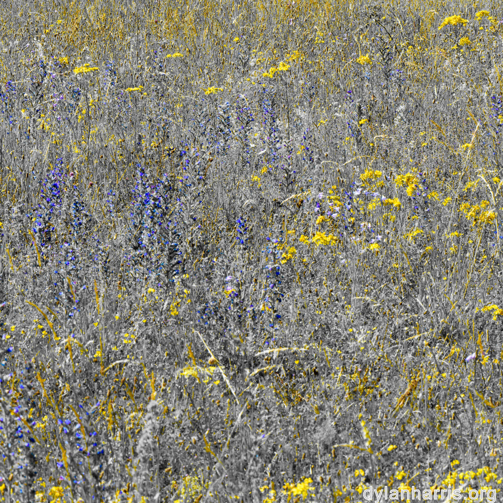 image: This is ‘
rumelange 1
’.