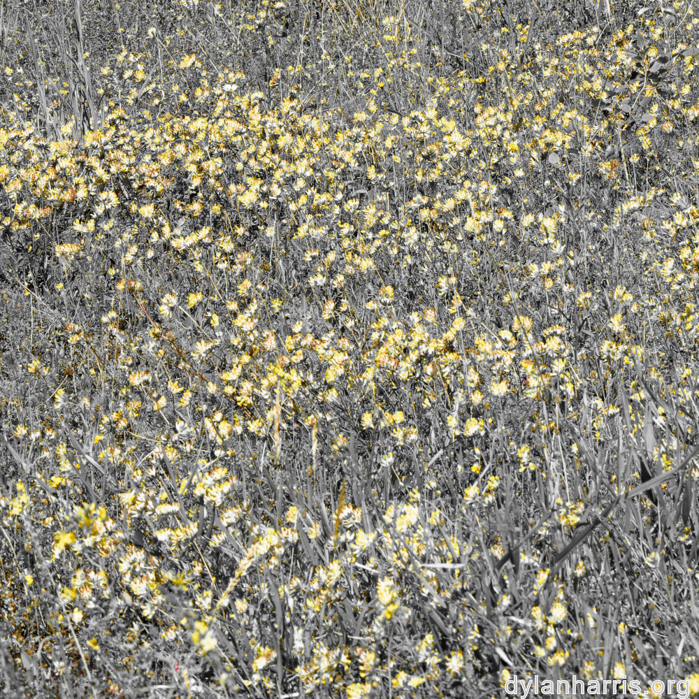 image: This is ‘
rumelange 4
’.