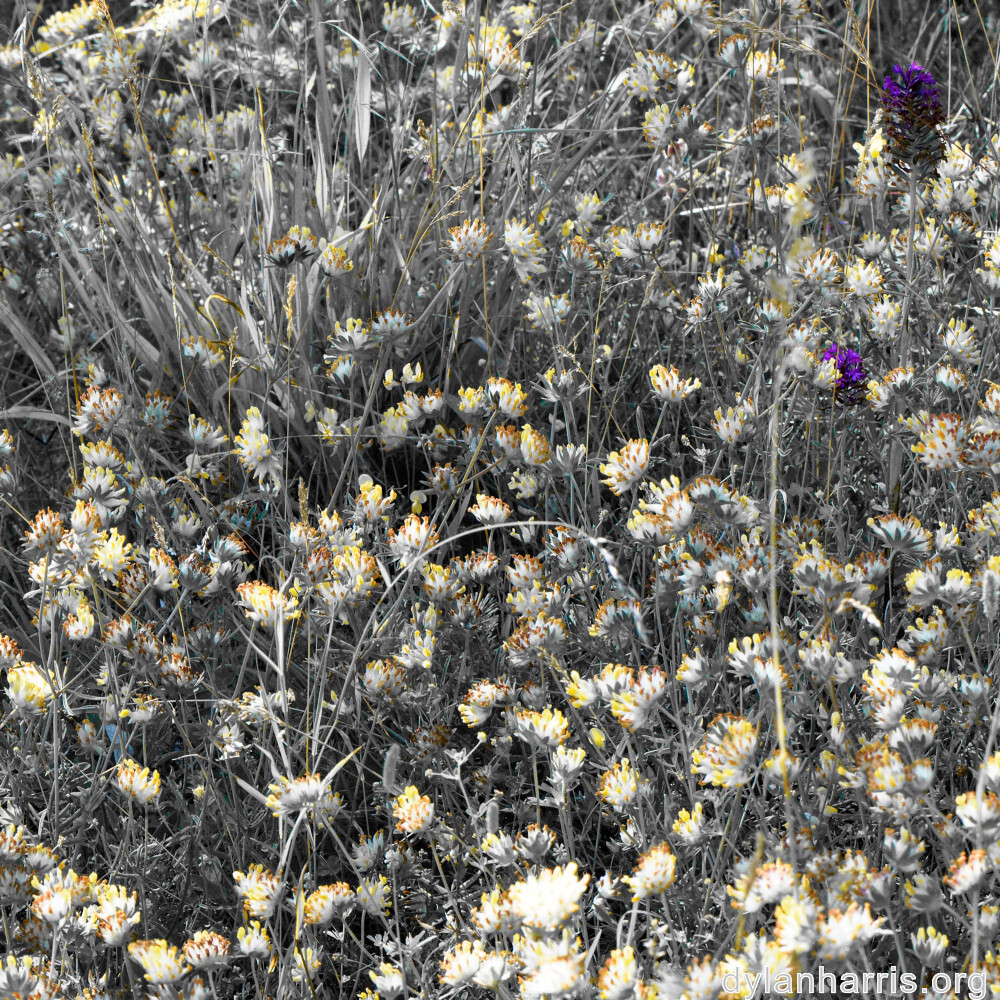 image: This is ‘
rumelange 5
’.