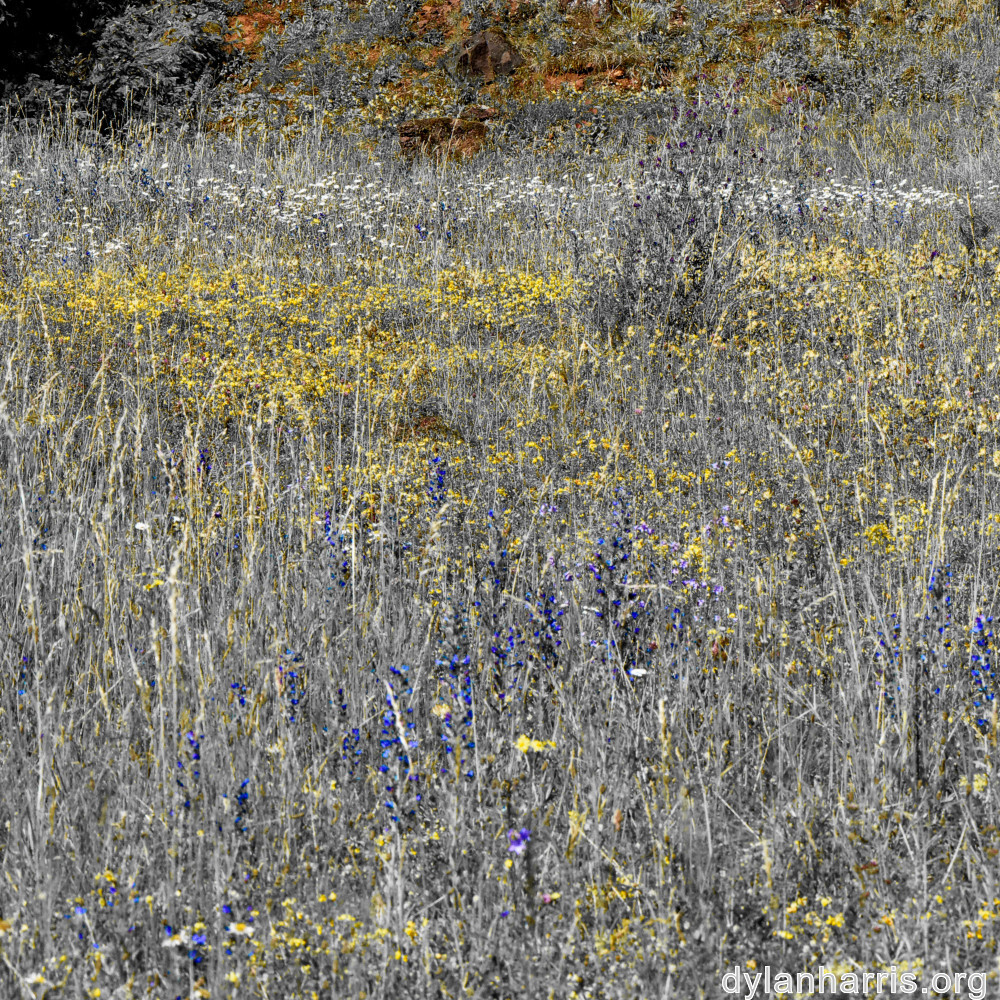 image: This is ‘
rumelange 6
’.