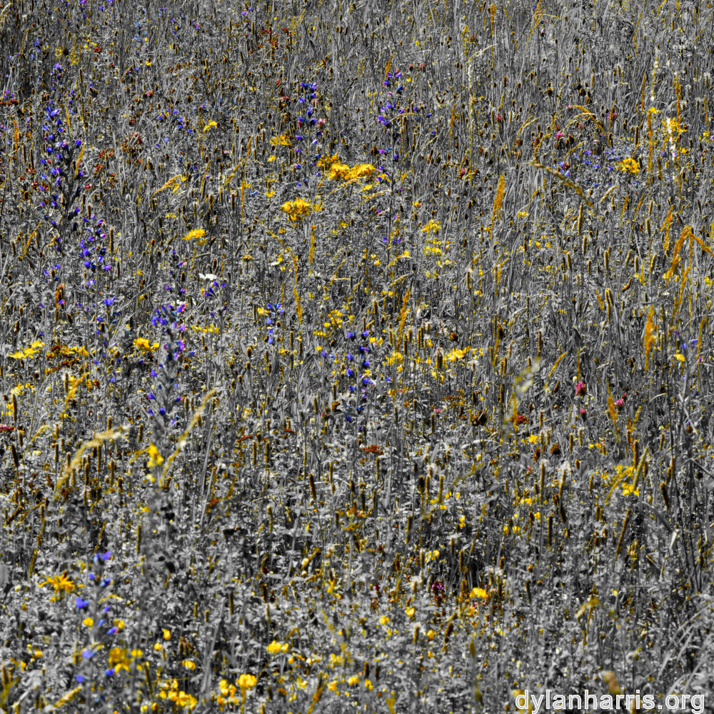 image: This is ‘
rumelange 7
’.