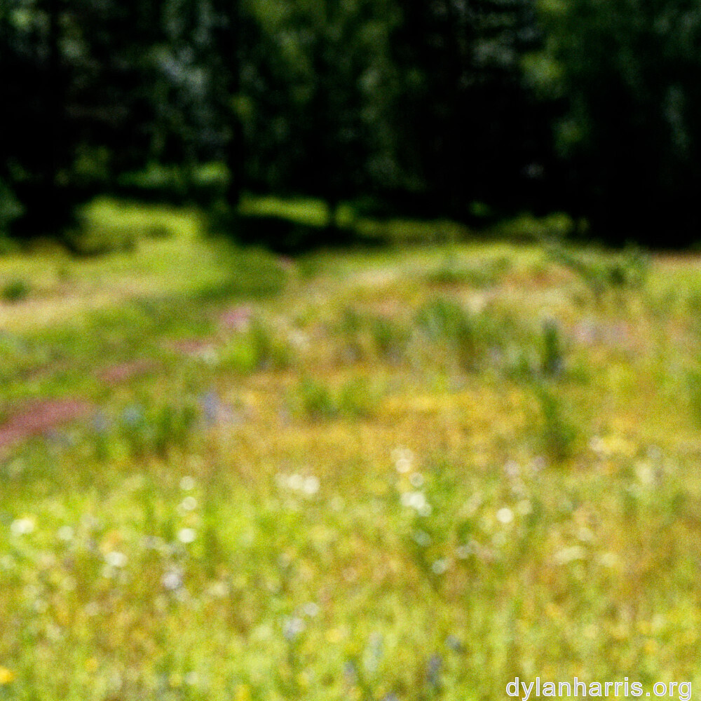 image: This is ‘
rumelange 8
’.