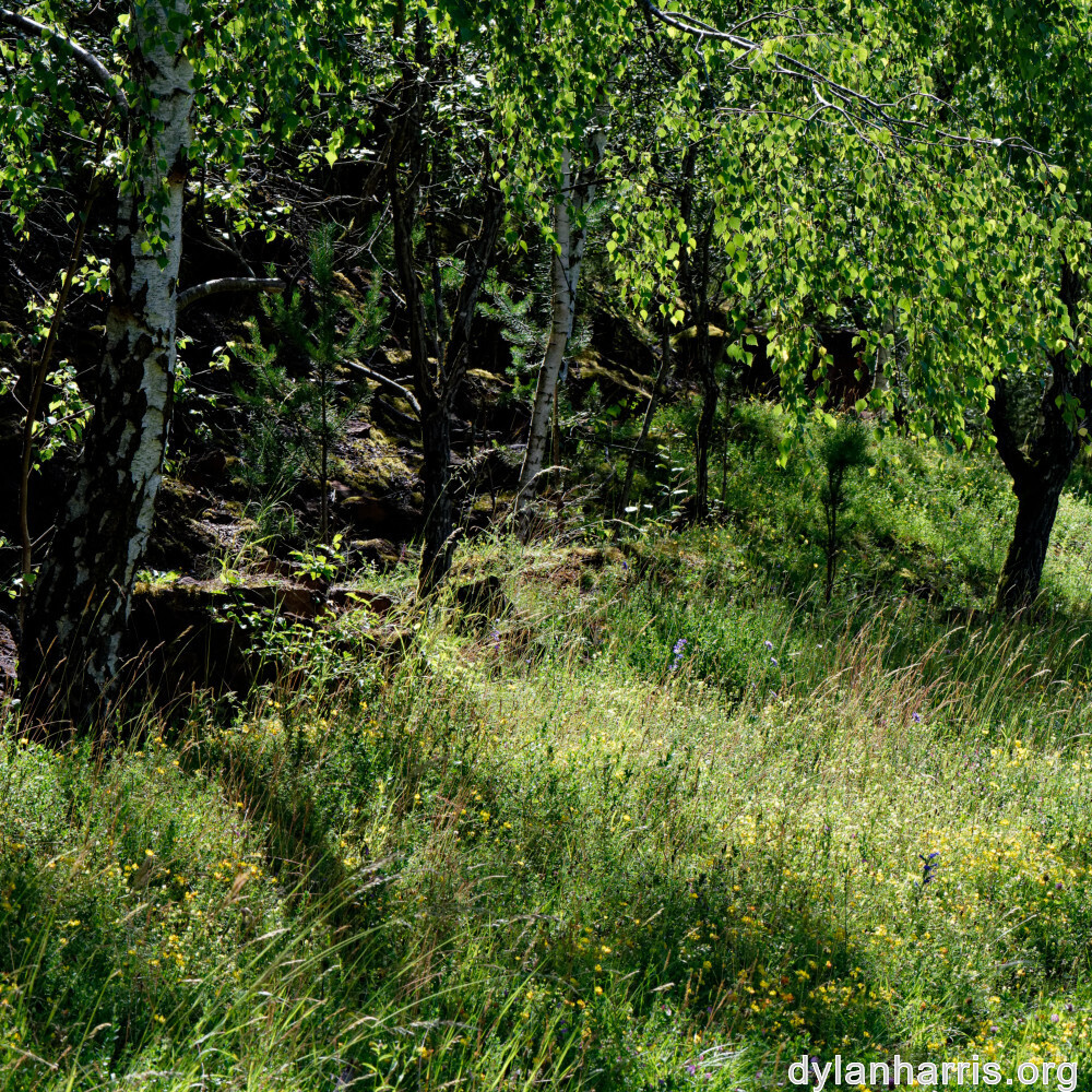 image: This is ‘
rumelange 9
’.