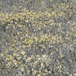 image: Image from the photoset ‘
rumelange (viii)
’.