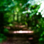 image: Image from the photoset ‘
rumelange (x)
’.