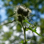 image: Image from the photoset ‘
rumelange (x)
’.