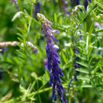 image: Image from the photoset ‘
rumelange (x)
’.