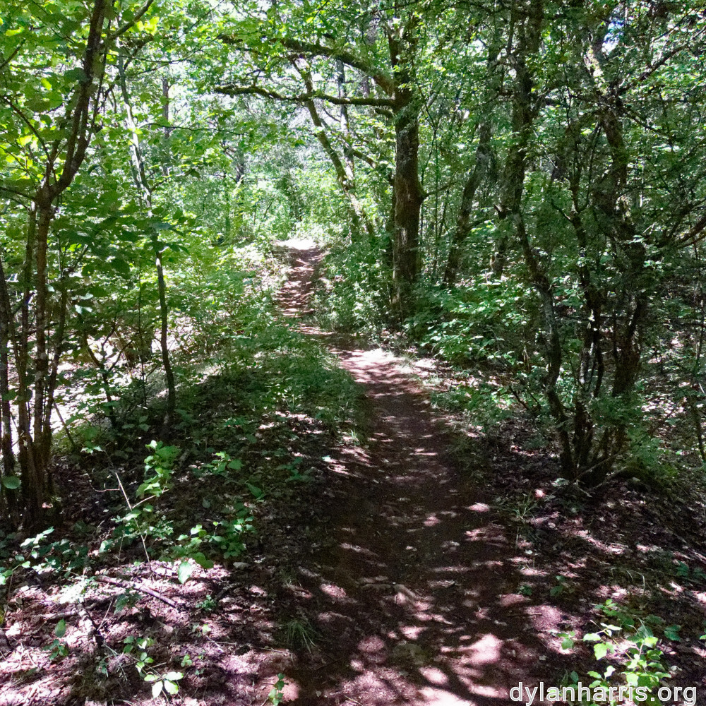 image: This is ‘
kayl 1
’.