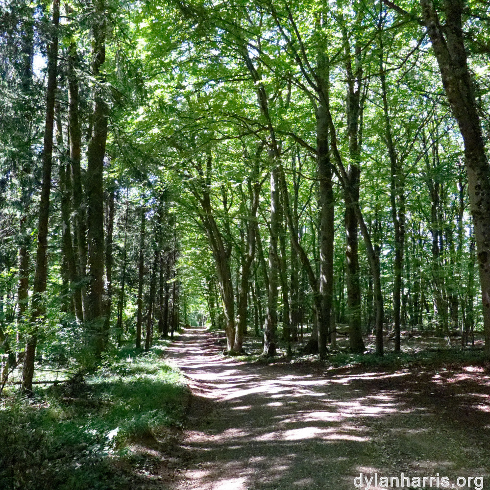 image: This is ‘
kayl 4
’.