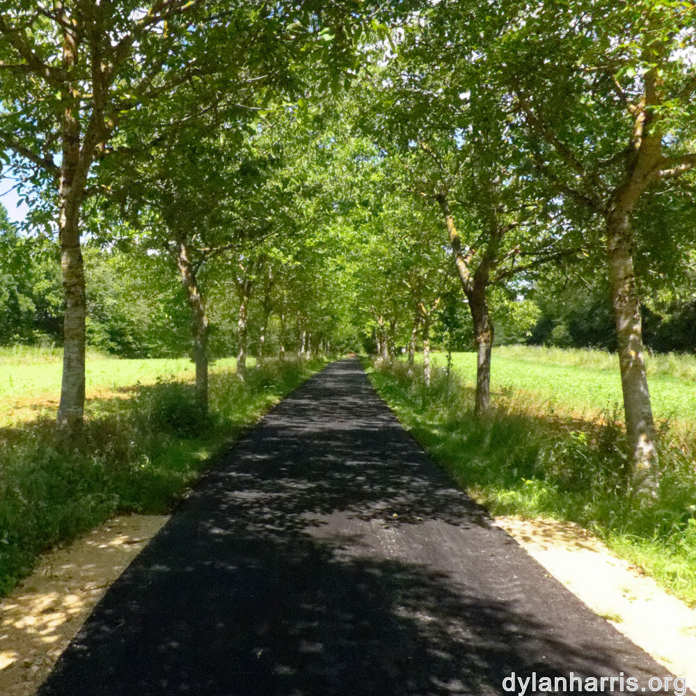 image: This is ‘
kayl 5
’.