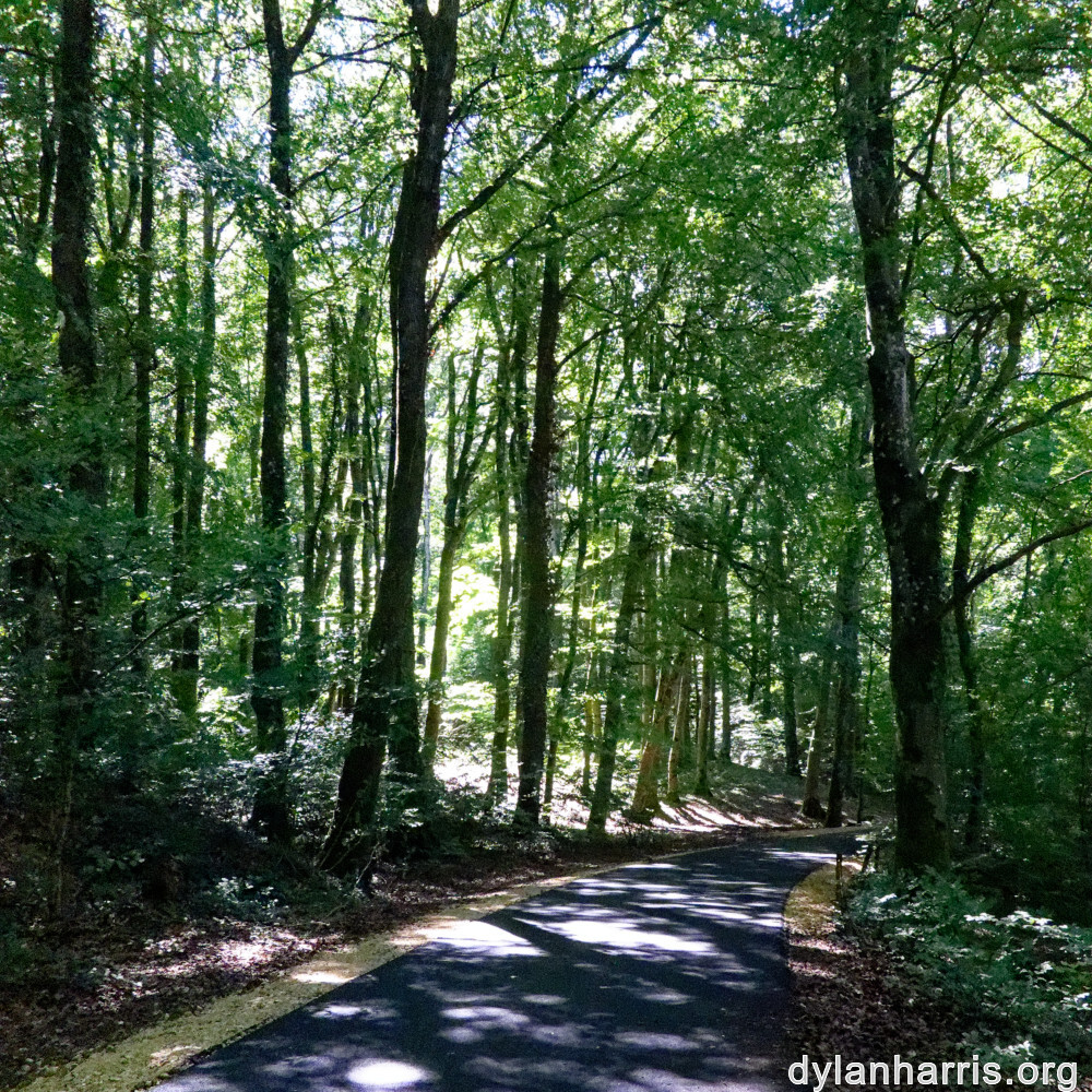 image: This is ‘
kayl 6
’.