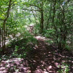 image: Image from the photoset ‘
kayl (iv)
’.