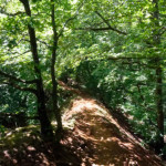 image: Image from the photoset ‘
kayl (iv)
’.